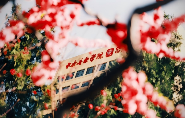 2026年音乐校考重大调整：取消乐理、增加名额、简化流程